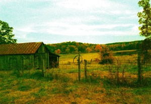 Capehart Sunnyside Barn - Version 2