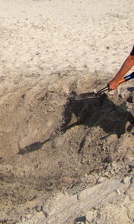 Amelia Spring  Break 2006 194