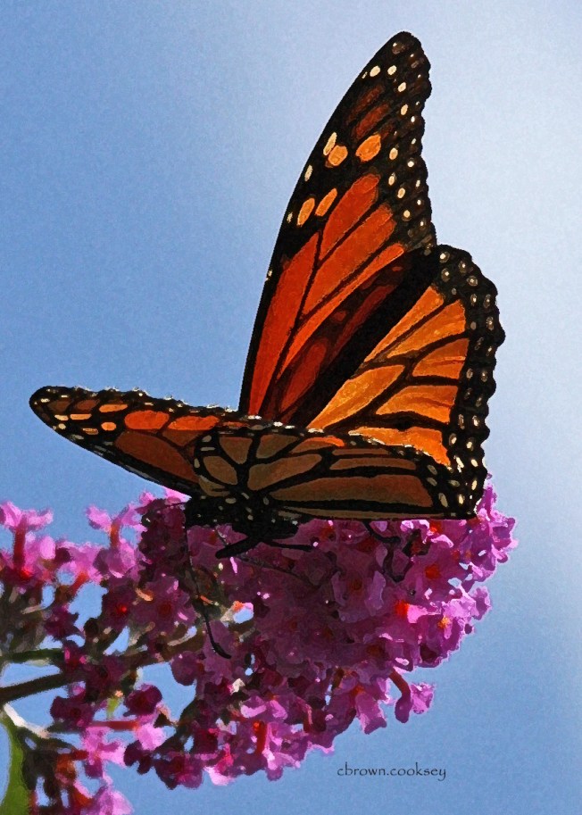 orange and black sky text drybursh