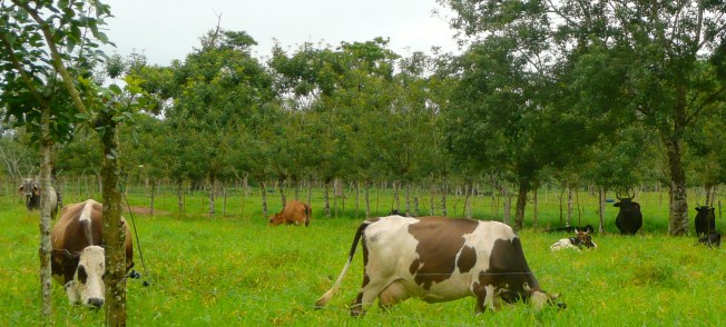 P1110103 - Version 3