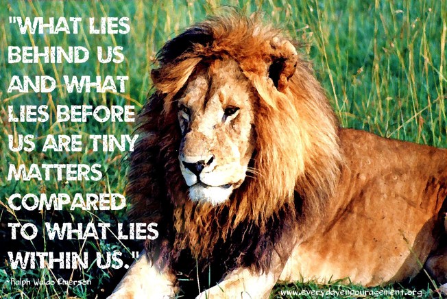 Grunge font Kenya liondry brush eyes softlook2095_edited-1