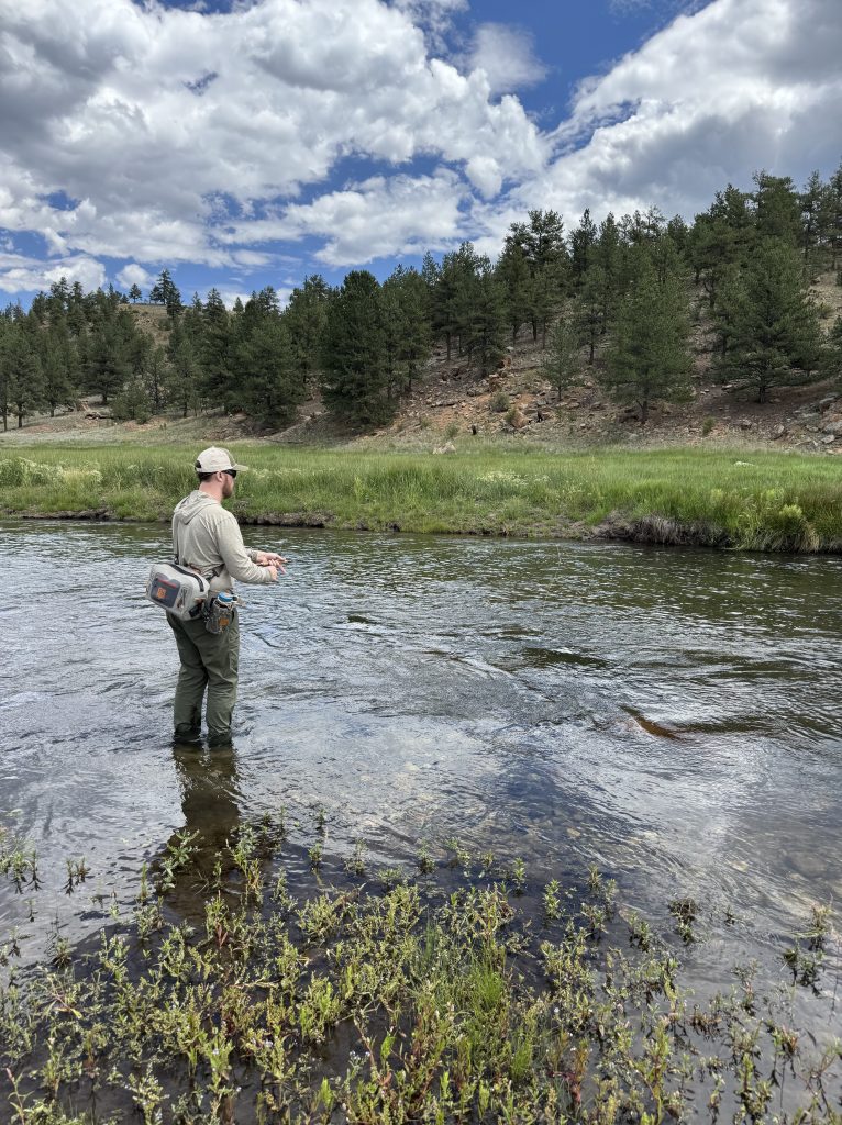 A person fly fishing in a clear stream surrounded by greenery and trees under a partly cloudy sky.
